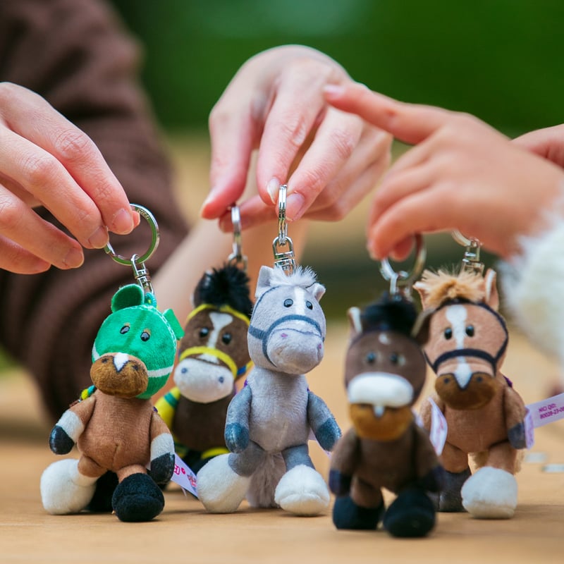 NICI(ニキ)/キーリング ゴールドシップ | 【公式】DERBYFriends