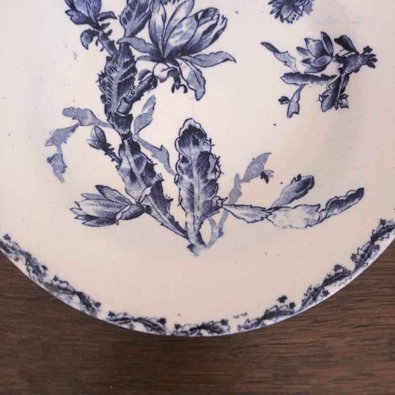 GIEN ジアン CACTUSサボテン スーププレート ブルー フランス