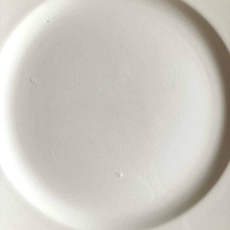 Digoin & Sarreguenines ディゴワン サルグミンヌ オクトゴナル 平皿 フ