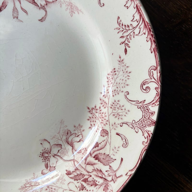 ショワジールロワ フロレアル Choisy le Roi FLOREAL 平皿 φ22cm フ