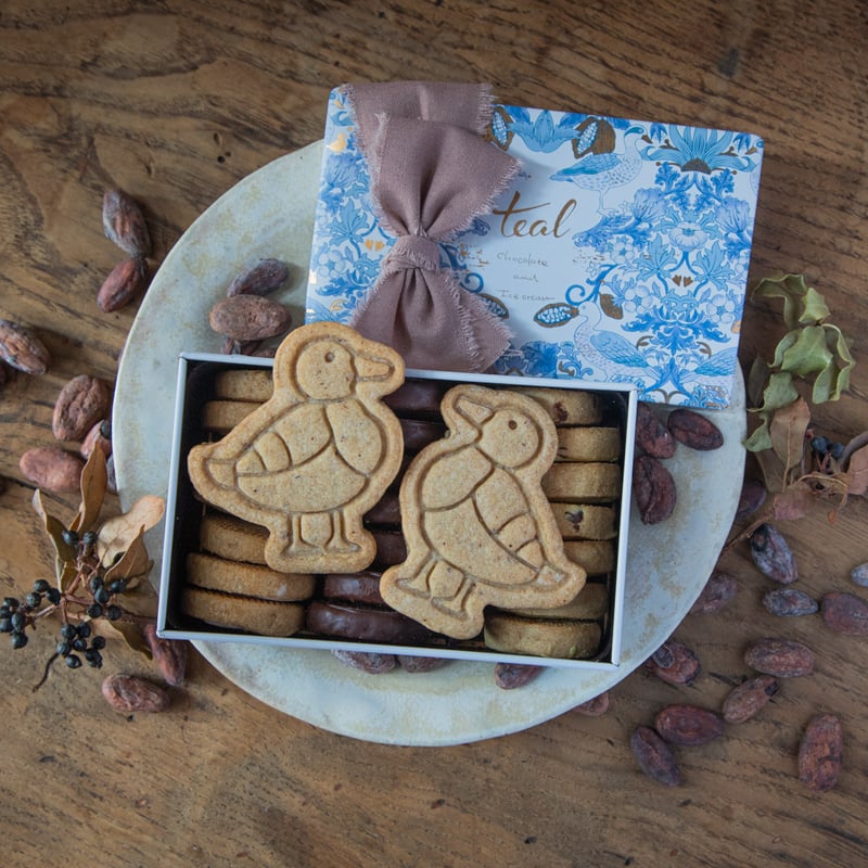賞味期限3月14日】チョコレートクッキーとカモのクッキー缶 | teal