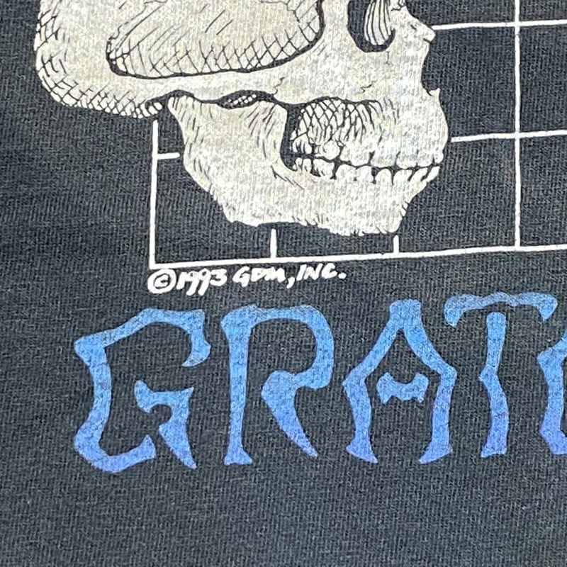 GRATEFUL DEAD LIQUID BLUE WHAT A LONG STRANGE T