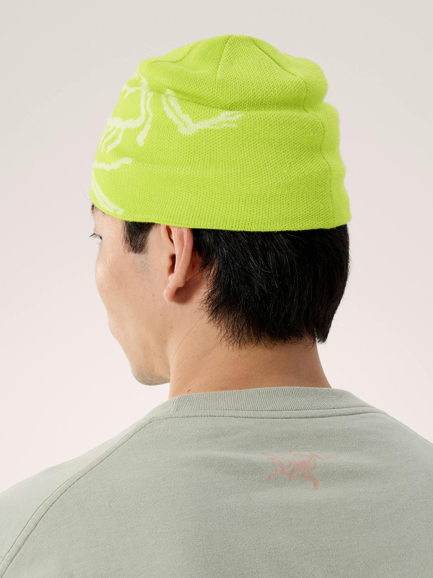 Bird Head Toque | Arc'teryx United States