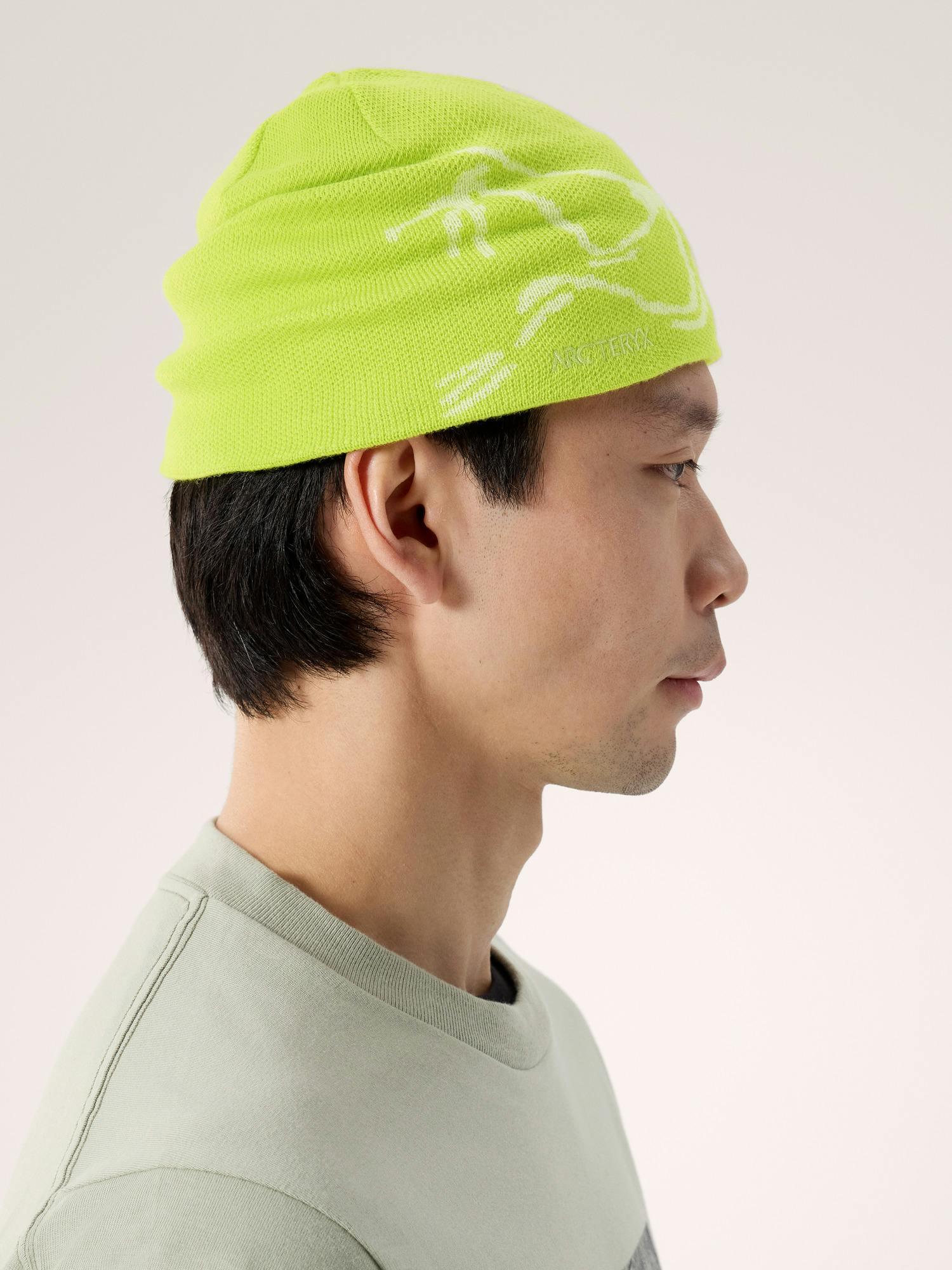 Bird Head Toque | Arc'teryx United States