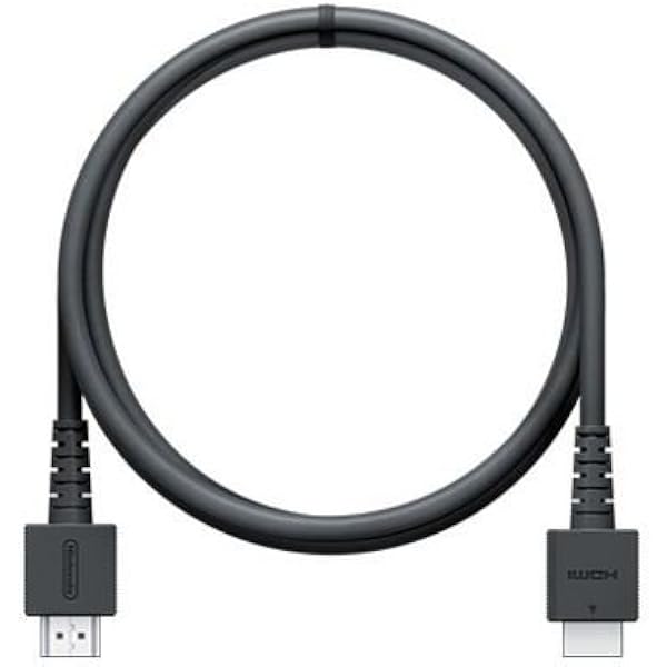 Amazon.co.jp: 【任天堂純正品】Nintendo Switch ACアダプター : ゲーム