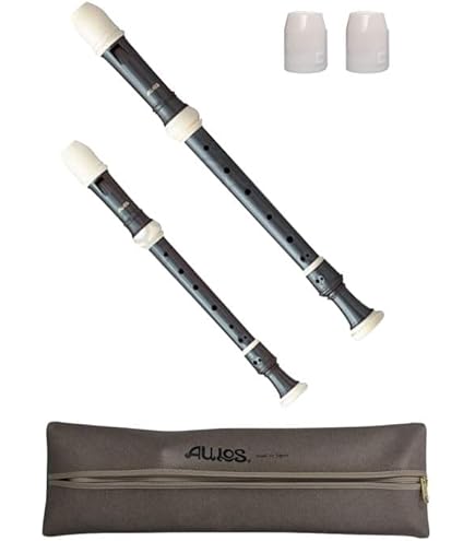 Amazon | ゼンオン 木製 テナーリコーダー PG3-T/MN 日本製 | テナー