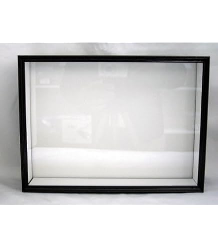 Amazon.co.jp: 大型ドイツ型標本箱（茶） : おもちゃ