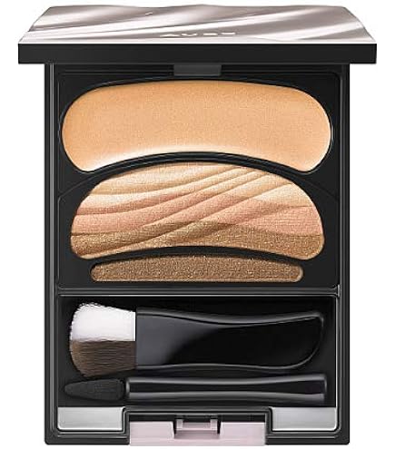 Amazon.co.jp: ソフィーナ オーブ ブラシひと塗りシャドウ N16