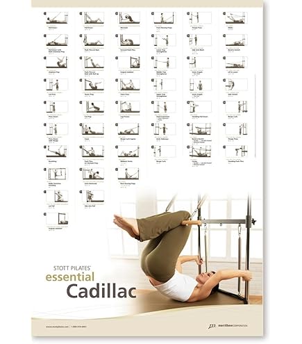 Amazon.co.jp: Stott Pilates: Essential Reformer 3rd Edition [DVD