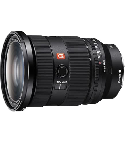 Amazon.co.jp: Sony (ソニー) - FE 24-105mm F4 G OSS 標準ズーム