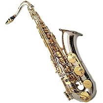 サックス用レゾネーター(GP) サックス用レゾネーター(GP) 最安値