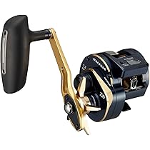 Amazon | ダイワ(DAIWA) ライトジギングロッド SALTIGA(ソルティガ) LJ
