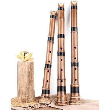 Amazon.co.jp ほしい物ランキング: 尺八 で、ほしい物リストと