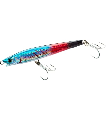 Amazon | 【ダイワ純正】24セルテート SW 純正スペアスプール（4000-XH