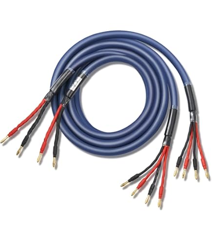 Amazon | ZONOTONE 6NSP-Granster 5500α 2本ペア ベリリウム銅製