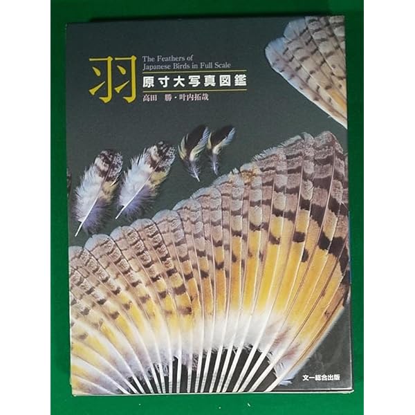 原寸大写真図鑑 羽 増補改訂版 | 叶内拓哉, 高田 勝 |本 | 通販 | Amazon