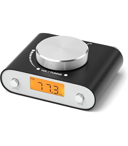 Amazon.co.jp: SONY ポータブルラジオレコーダー 4GB R50 ICZ-R50