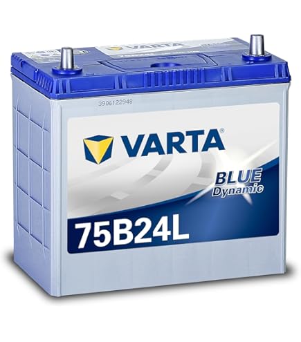 Amazon.co.jp: Delkor ( デルコア ) 充電制御車向け プラチナ