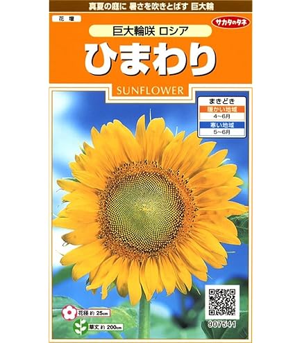 Amazon | サカタのタネ 実咲花5627 ひまわり ビンセント クリア