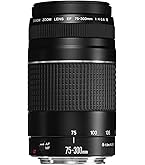 Amazon.co.jp: TAMRON 高倍率ズームレンズ 28-300mm F3.5-6.3 Di VC