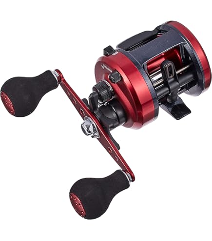 Amazon | DAIWA RYOGA 2020H RH ボートジギングリール 日本製 | ベイト