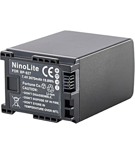 Amazon | Canon デジタルビデオカメラ iVIS HF G10 IVISHFG10 光学10倍