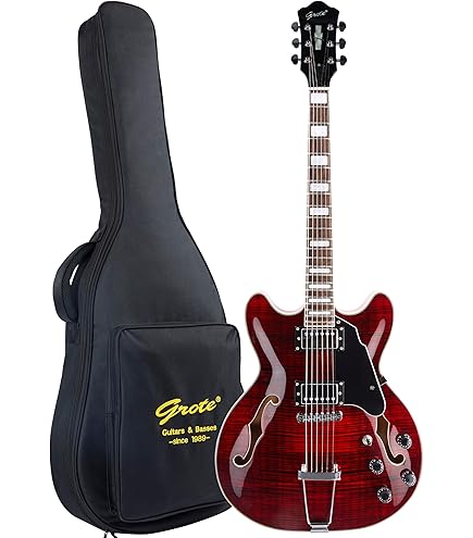 ダイナマン）ドナー シンライン ホロウボディ bigsbyタイプ ダイナマン