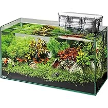 91R7S3-IJrL._AC_UL210_SR210,