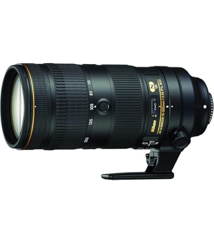 Amazon.com : Nikon AF-S FX NIKKOR 24-70mm f/2.8E ED Vibration