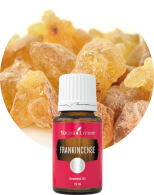 ブレインパワー 5ml | ヤング・リヴィング精油 | Young Living