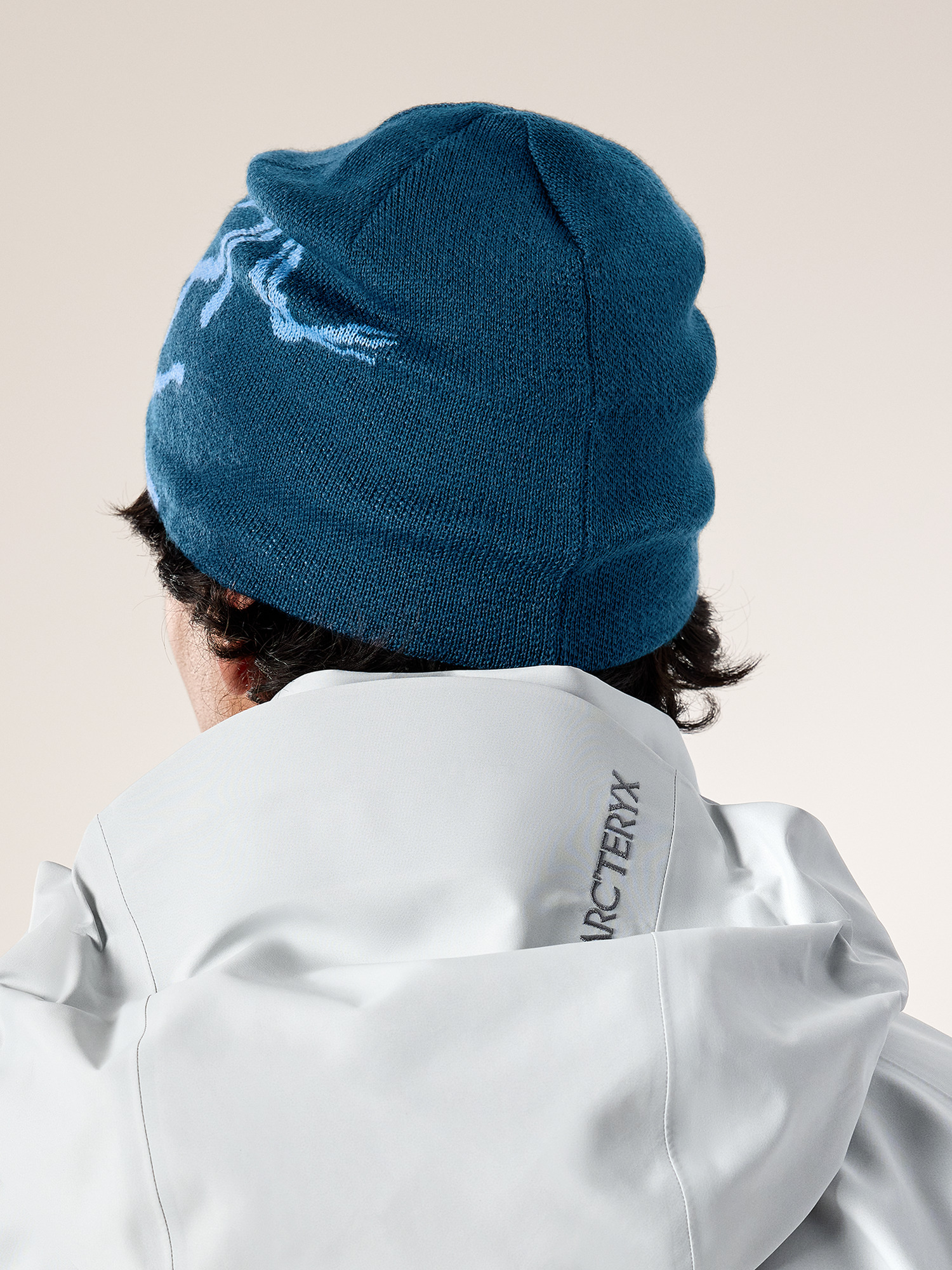 Bird Head Toque | Arc'teryx Canada