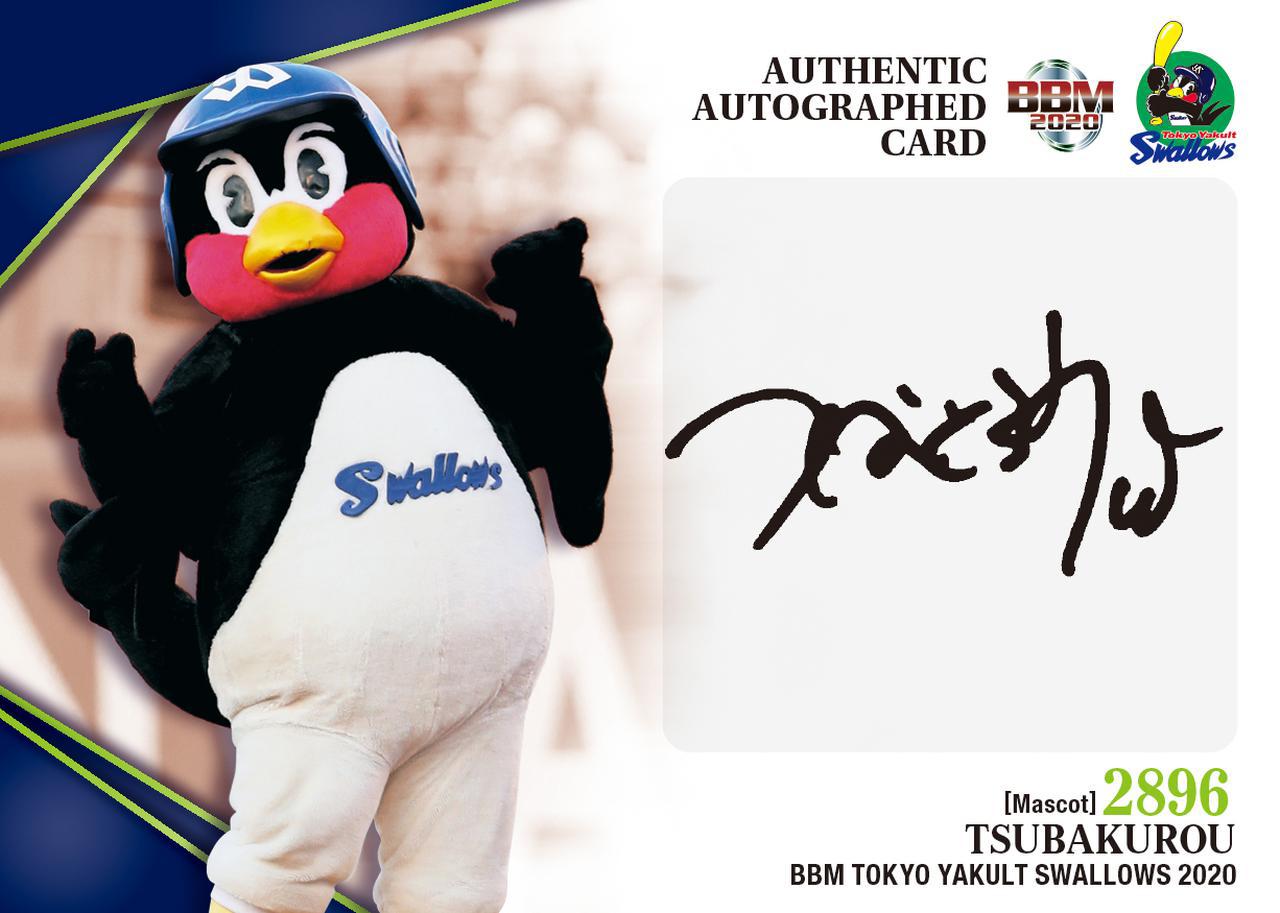 BBMカードコラム #2020-08 ヤクルトチームパック】直筆サインカードの