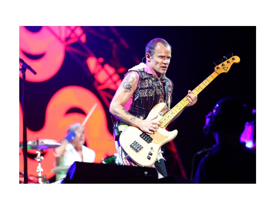 Custom Shop Jazz Bass with Modulus Lane Poor pickup - What To Know