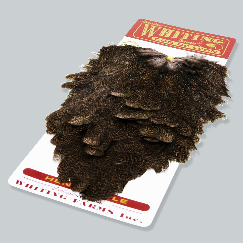 Coq de Leon | Whiting | マーヴェリック / Maverick