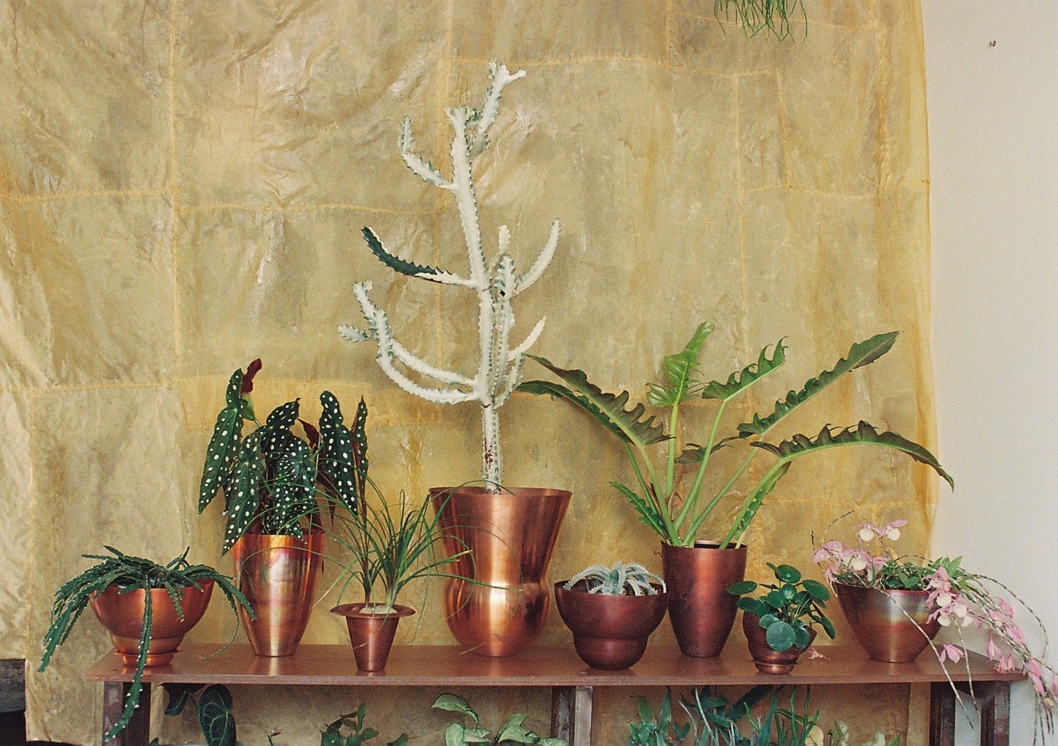 ヴィンテージや現代作家のフラワーベース】日本橋兜町「coin」にて