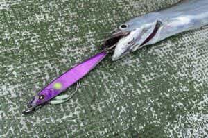 タチウオにおすすめのジグ11選！スライドし過ぎないのが重要です