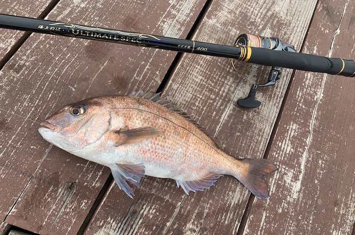 最新】おすすめの海上釣堀竿15選！代用できるロッドも解説します