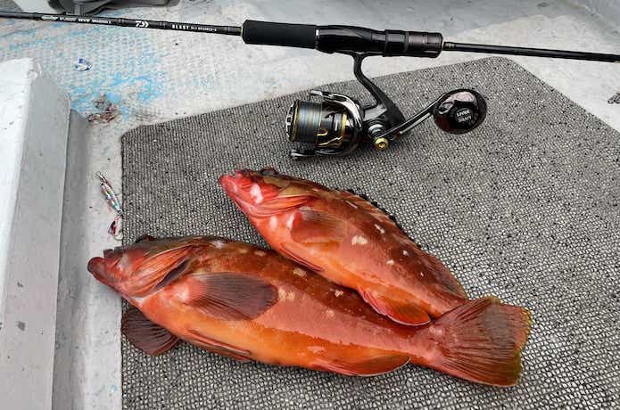 ブラストSLJエアポータブルを実釣インプレ。SLJ入門には最適な1本です