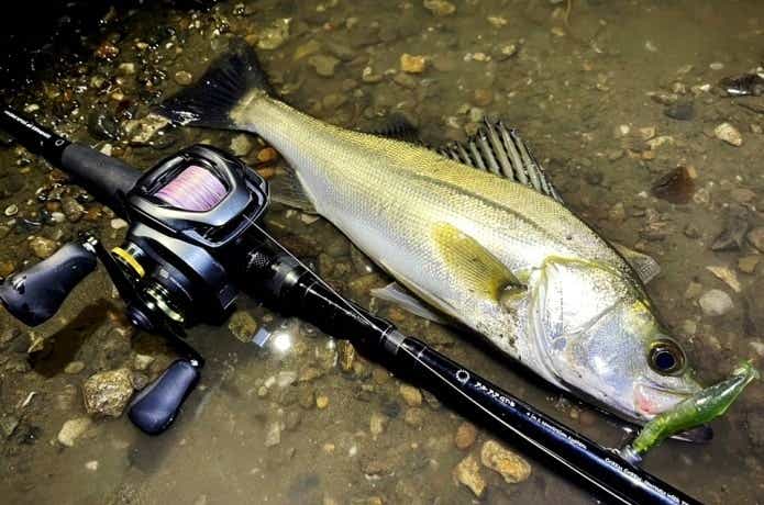 22クラドDC 200XGをインプレ！価格とサイズ感がイイんです | 【TSURI