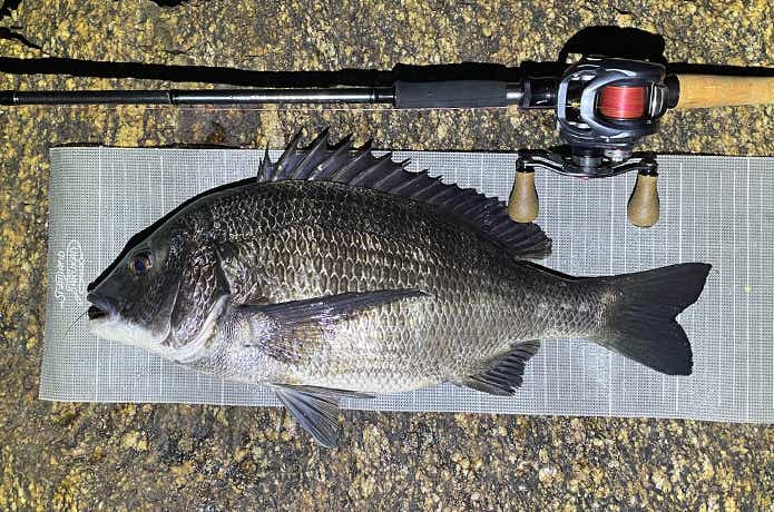 ファントムリベラリスト803M+RSBを実釣インプレ。万能ベイトロッドの