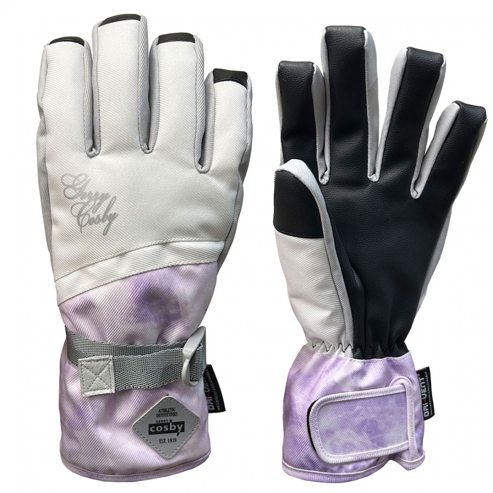 コスビー レディース スキー グローブ レディースグローブ CS-6219