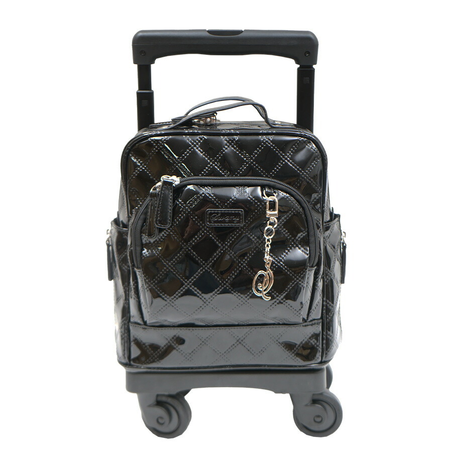 SWANY】D-591 TS15 エマイロVI キャリーバッグ スワニー お買い物 旅行