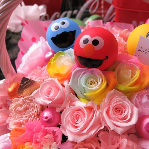 エルモ クッキーモンスター ビッグバード入り 花束風ギフト レインボー