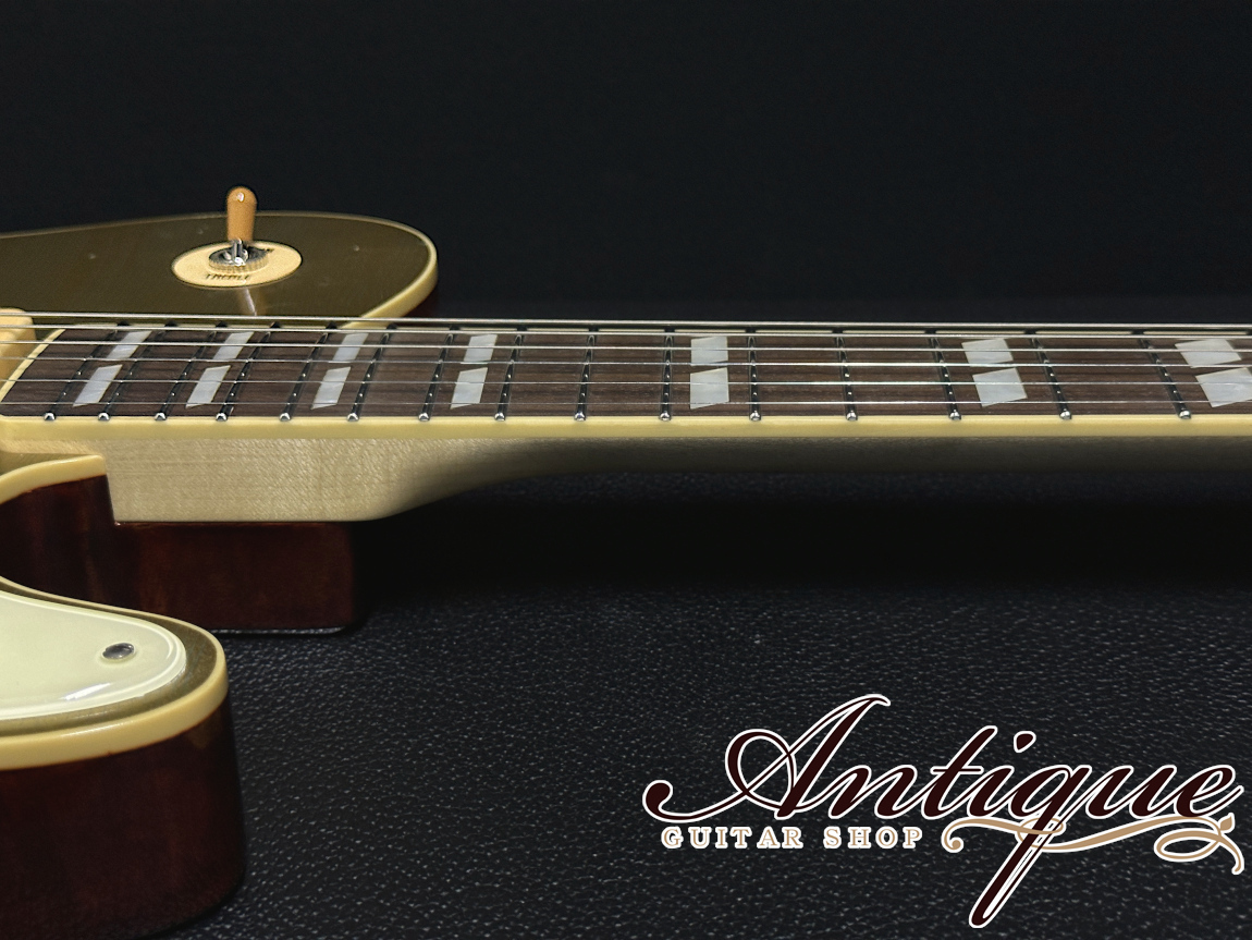 Bruno Guitars TN-295 Semi-Hollow 2024 Brass Powder Gold Aged
