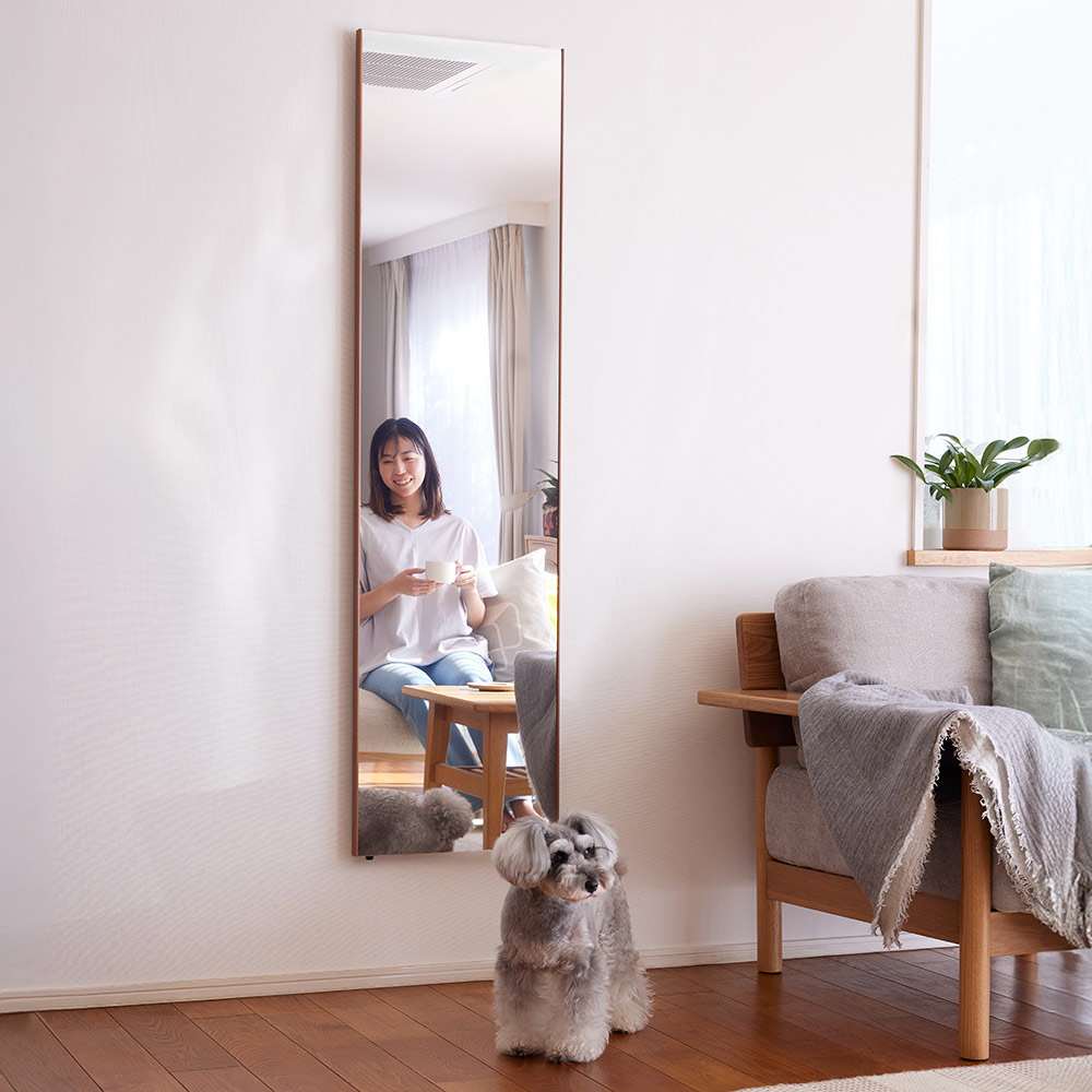 割れない軽量フィルムミラー [細枠] 通販 - ディノス