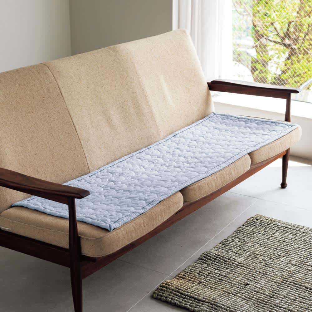 パシーマ（R）EXリビングシリーズ ソファカバー 通販 - ディノス