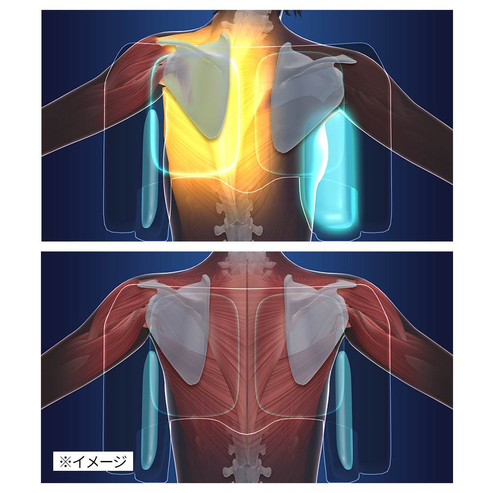 エアプリエ DELUXE（デラックス） 通販 - ディノス