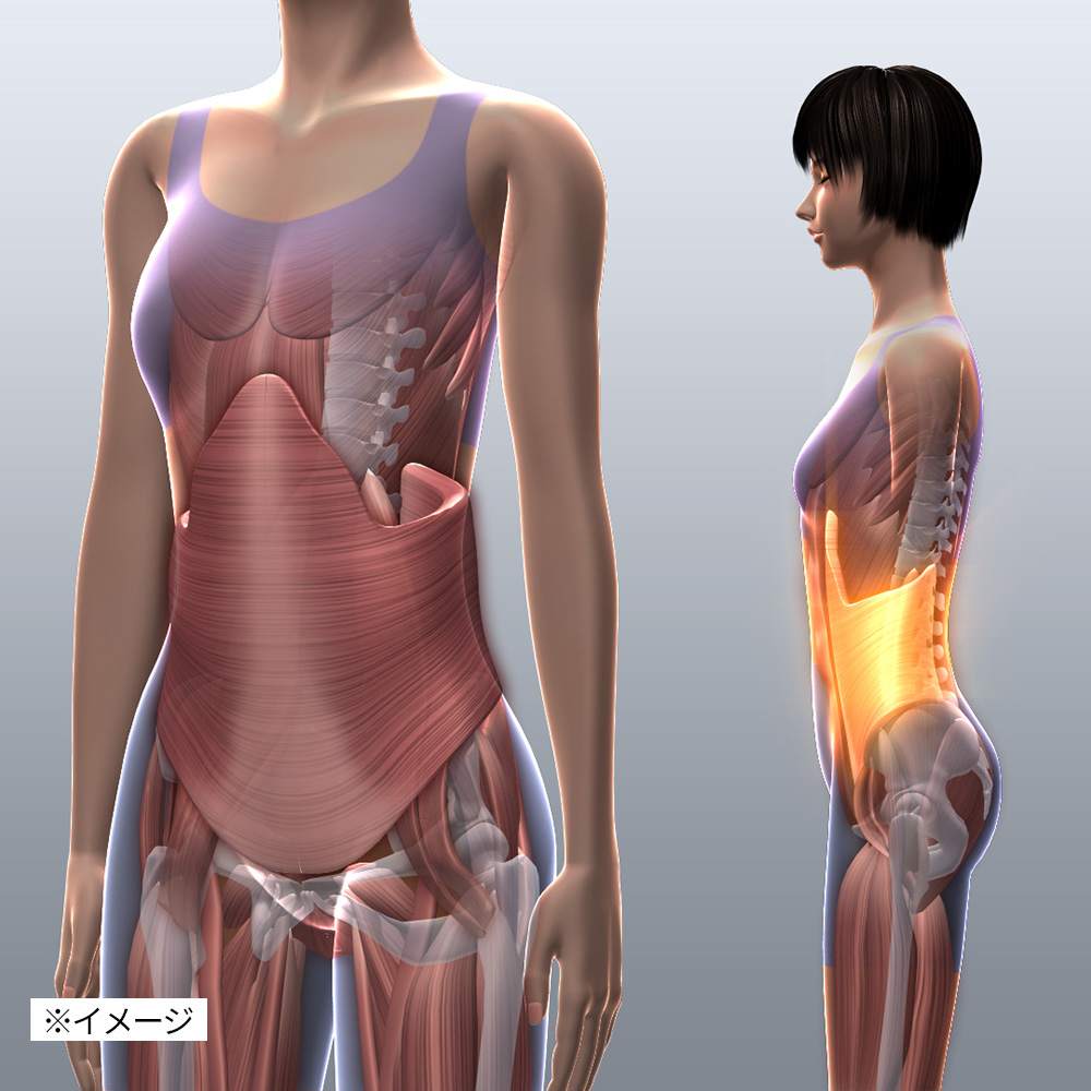 エアプリエ DELUXE（デラックス） 通販 - ディノス