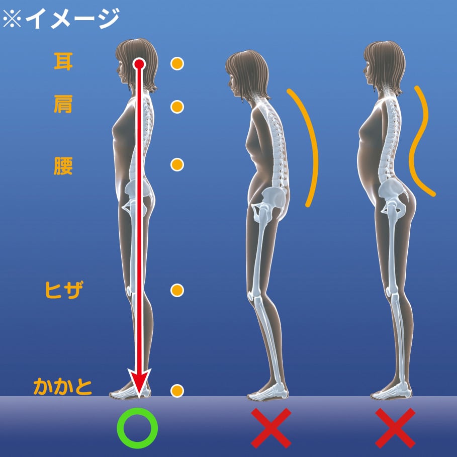 パーフェクトエクサ 通販 - ディノス