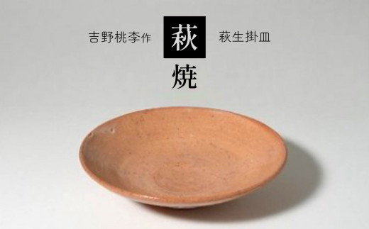萩焼 吉野桃李作 萩七寸皿 ｜ 和食器 食器 皿 萩焼 お洒落 オシャレ